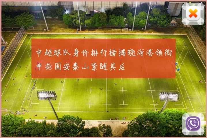 中超球队身价排行榜揭晓海港领衔申花国安泰山紧随其后
