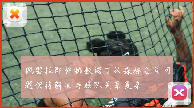 佩雷拉即将执教诺丁汉森林合同问题仍待解决与狼队关系复杂