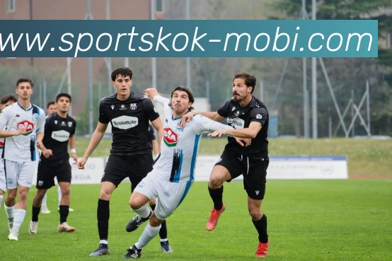 KOK体育发展历程